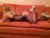pendik escort alina3