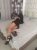 maltepe-escort-irmak-4