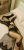 pendik-kurtkoy-escort-bayan-4