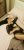 pendik-kurtkoy-escort-bayan-6