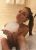anadoluyakasiescortbayankarina2