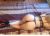pendik-escort-bayan-selma