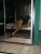 maltepe-escort-bayan-sinem5