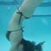 anadolu-yakasi-esmer-anal-zayif-escort bayan-efil