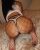 pendik-escort-bayan-fisun1