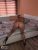 pendik-kurtkoy-escort-bayan-kumsal1