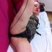 Pendik Tesetturlu Suriyeli Kapali Escort Bayan Ela