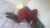 kaynarca-kurtkoy-escort-bayan-maya-3
