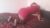 kaynarca-kurtkoy-escort-bayan-maya