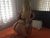 kurtkoy-pendik-escort-bayan-pelin-4