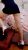 pendik-merkez-escort-bayan-siveta-ve-sibel-2