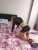 anadolu-yakasi-escort-bayan-simge-1