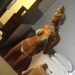 pendik-ofi̇se-gelen-genc-partner-escort-bayan-feza-