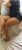 kartal-merkez-escort-bayan-gizem-3