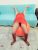 kurtkoy-escort-bayan-elmira-11