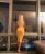 pendik-escort-bayan-naz-4