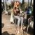 pendik-escort-bayan-naz pendik-escort-bayan-naz