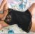 pendik-merkez-escort-bayan-peri-5