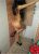 pendik-escort-bayan-dinara-ve-rihanna-2