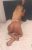 anadolu-yakasi-escort-bayan-zeynep-4