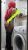 maltepe-escort-bayan-fatmagul-6