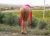 maltepe-escort-bayan-fatos-1
