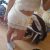 kartal-escort-bayan-melek-5 kartal-escort-bayan-melek-5