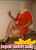 pendik-escort-bayan-zelis-3