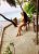gebze-merkez-escort-bayan-büşra-3