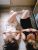 pendik-escort-bayan-eda-ve-seda-8