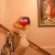 escort-bayan-suna-8 escort-bayan-suna-8