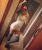 tuzla-pendik-kartal-escort-bayanlar-aynur-ve-rita-2