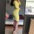 pendik-escort-bayan-eda pendik-escort-bayan-eda