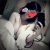 kurtkoy-pendik-escort-bayan-tuana-ve-banu-1