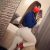 anadolu-yakası-escort-bayan-mila-3