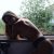escort-bayan-olya-7 escort-bayan-olya-7