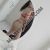 anadolu-yakasi-escort-bayan-lina-6
