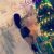 escort-bayan-lena-7 escort-bayan-lena-7
